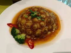 -石头咕(葵蓬店)