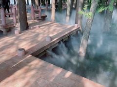 -东湖落雁景区