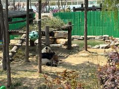 -西霞口神雕山野生动物世界