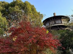 -八大山人梅湖景区
