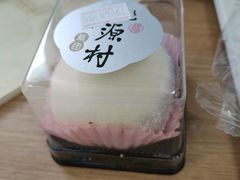 -桃源村(南大店)