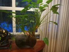 -福禧酒窖·中餐厅 (万柳店)