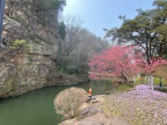 -狼山风景名胜区