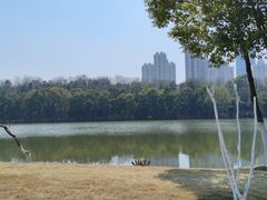 -月湖风景区