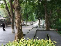 -广西壮族自治区药用植物园
