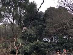 -宁波野生动物园