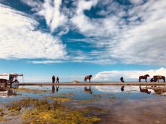 -青海湖国家重点风景名胜区
