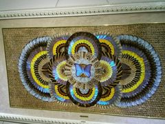 -上海昆虫博物馆