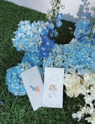 -美薇亭婚礼顾问