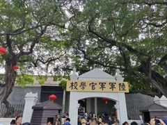 -长洲岛