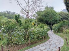 -深圳仙湖植物园