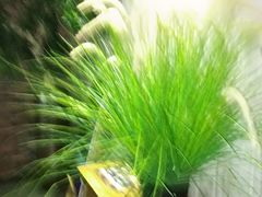 -美豪怡致酒店(上海长寿路店)