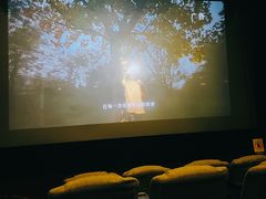 VIP厅-万达影城(锦华万达广场IMAX店)