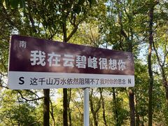 -云碧峰国家森林公园