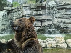 -北京野生动物园