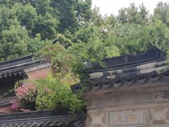 -苏州碑刻博物馆