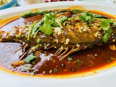 压锅炉鱼-鲜得莱渔港·小平岛海胆馆(七贤岭店)