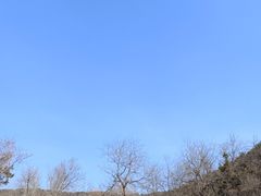 -棒棰岛宾馆景区