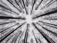 -南京市无想山景区