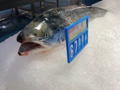 -麦德龙(浦东店)