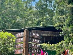 -野象谷景区