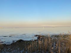 -上海吴淞炮台湾国家湿地公园