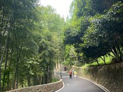 -莫干山风景区