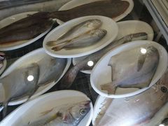 -吕四渔港码头海鲜餐厅