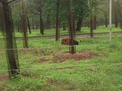 -秦皇岛野生动物园