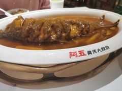 红烧黄河鲤鱼-阿五黄河大鲤鱼(英协路店)