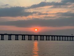 -宝安西湾红树林湿地公园