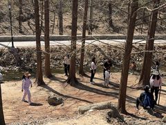-白水寺森林公园
