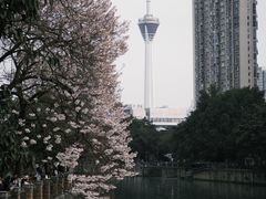 -红星桥(地铁站)