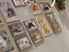 -藏猫猫咖啡主题馆(中央大道店)