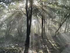 -梧桐山风景名胜区