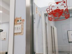 -纳吉亚猫专科动物诊疗中心(蒋宅口分院)