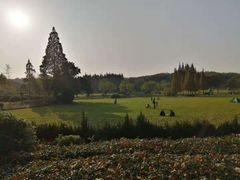 -宜兴龙背山森林公园
