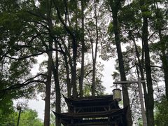 -青城山