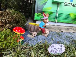 -上海交通大学医学院附属上海儿童医学中心(陆家嘴总院区)