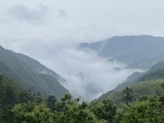 -东白山