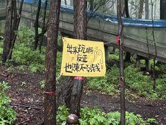 -帽儿山风景区
