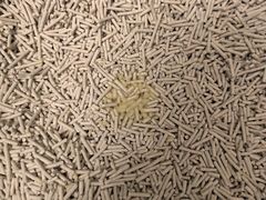 -美联众合动物医院·24h京西诊疗中心