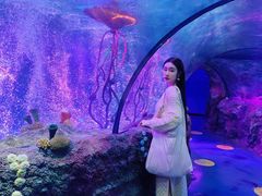 -沈阳海洋探索中心