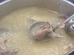 -鸽鸟轩(石岐店)