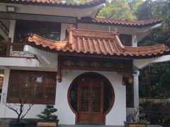 -深圳仙湖植物园-停车场