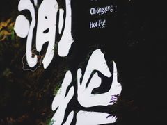-渝涯重庆豆花老火锅(中赢国际店)