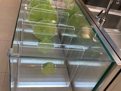 -德克士(龙阳广场店)