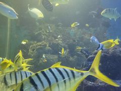 -大连老虎滩海洋公园
