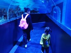 -成都浩海立方海洋公园