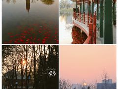 -西海子公园